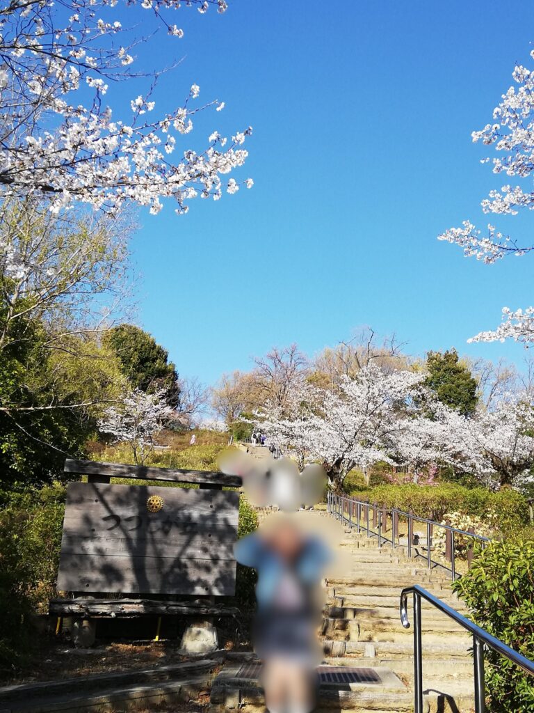 つつじが丘の桜